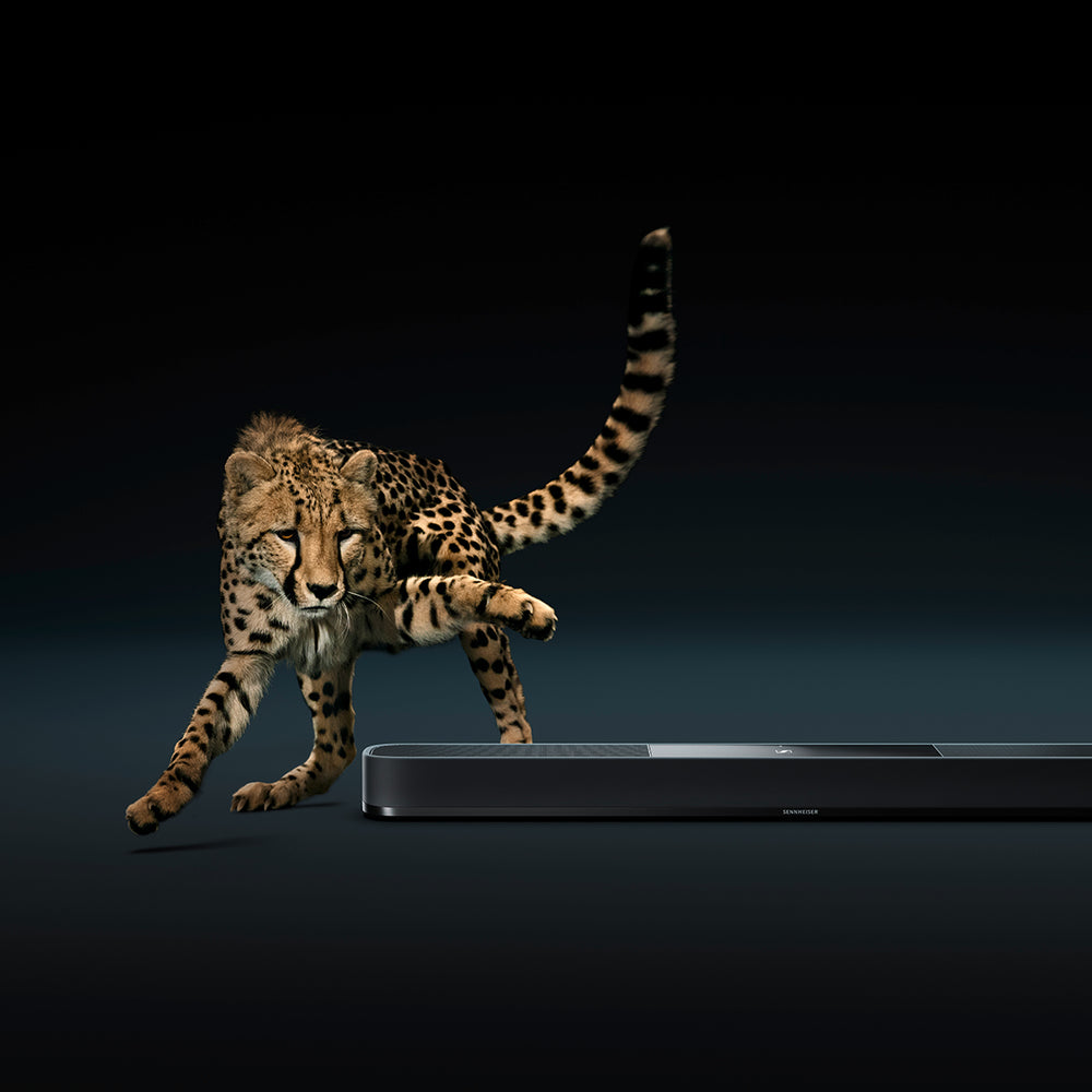 AMBEO Soundbar | Plus