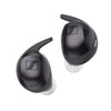 MOMENTUM Sport